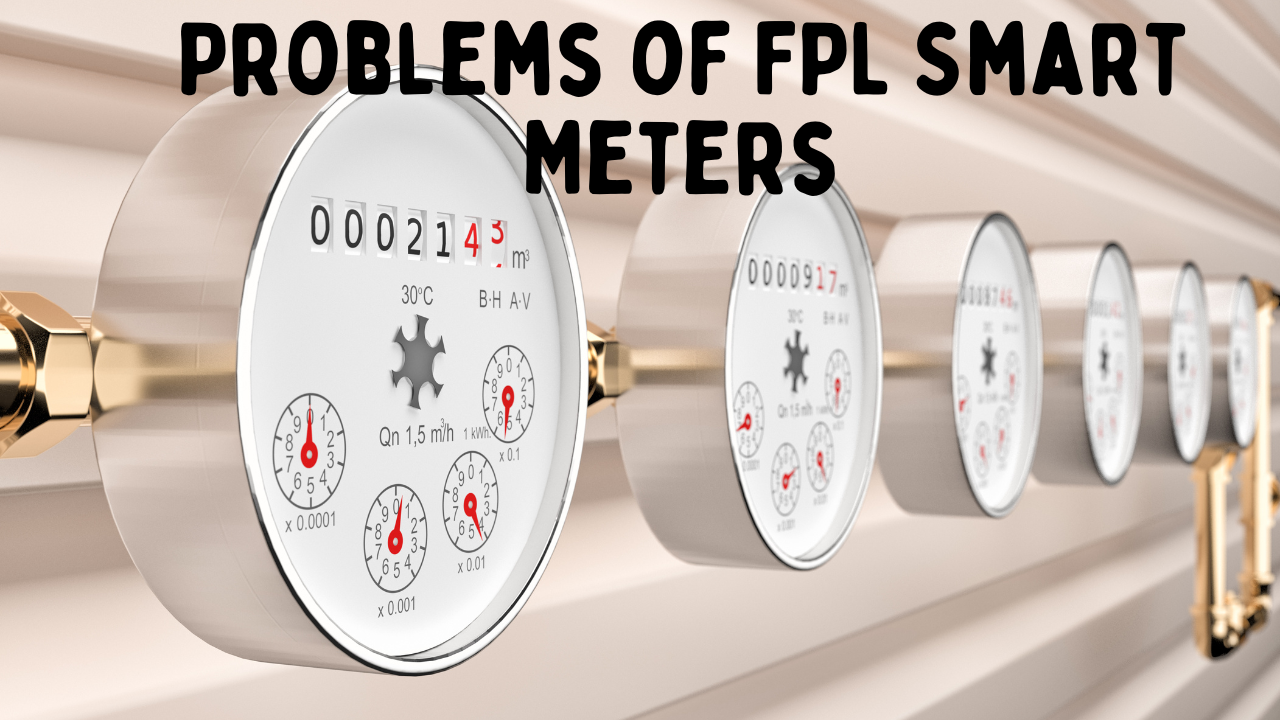 Problems of FPL Smart Meters: Accuracy, Data Privacy, and Other Issues