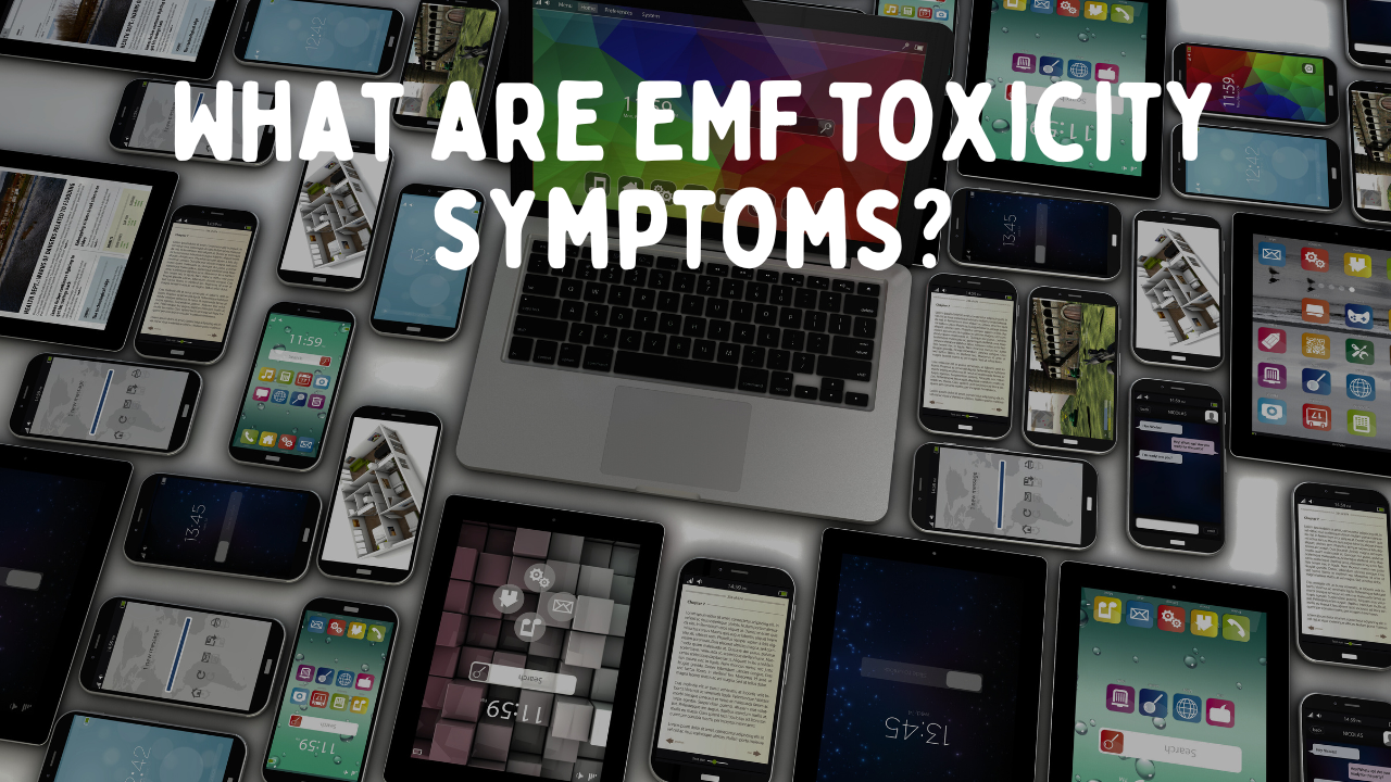 Understanding EMF Toxicity Symptoms and How to Reduce Potential Risks